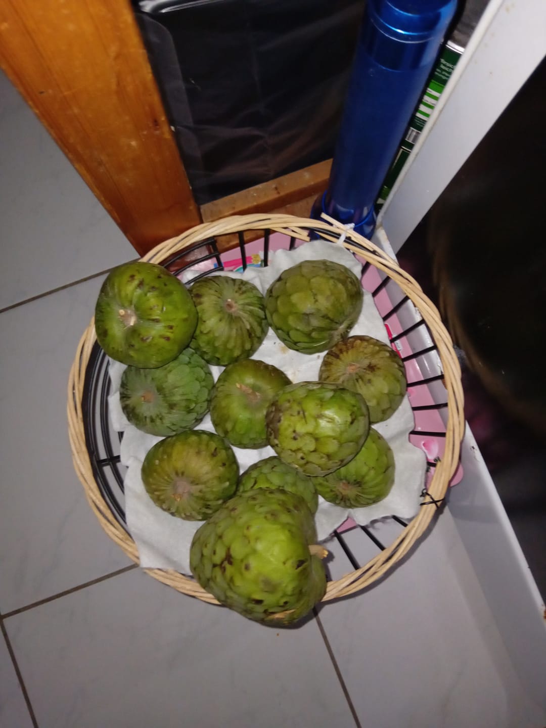 Customer photo review of Cherimoya Bio Hochernte-Retterbox Sonderaktion % 4kg