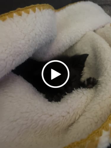 Customer video review of Waffle Puff Blanket