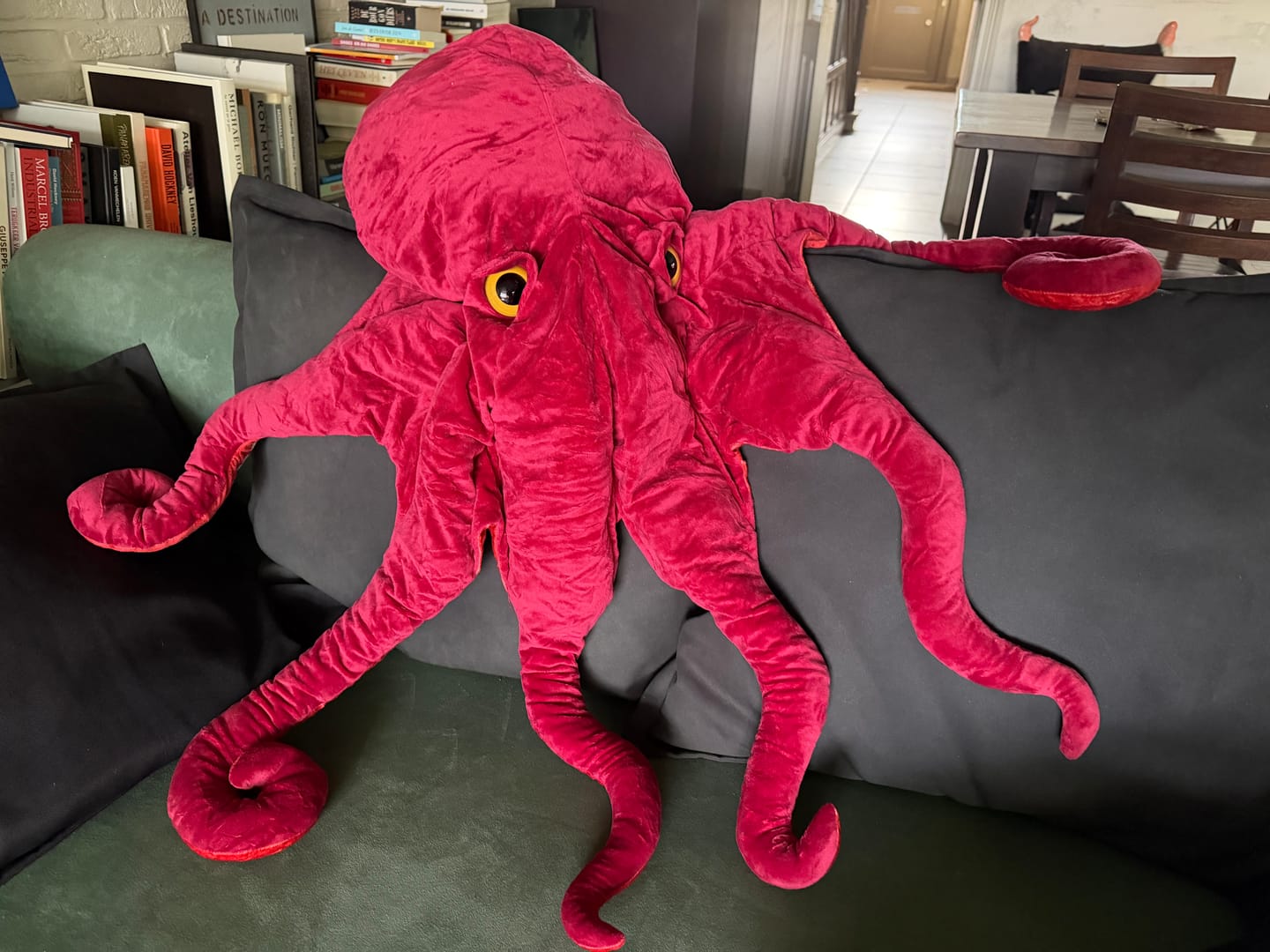 Customer photo review of Red Octopus Soft Stuffed Plush Toy