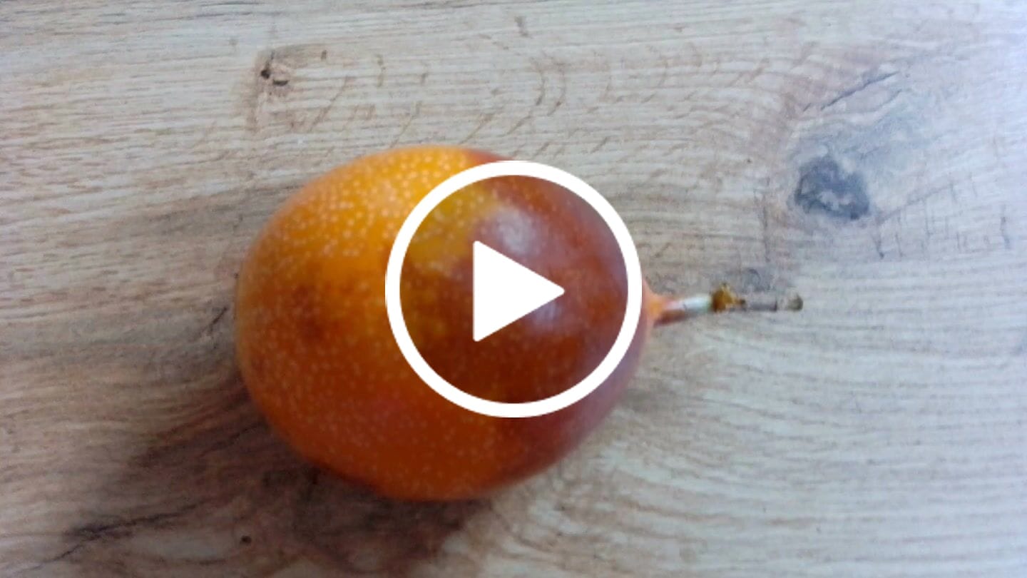 Customer video review of Süße Granadilla Sonderaktion % 1,5kg