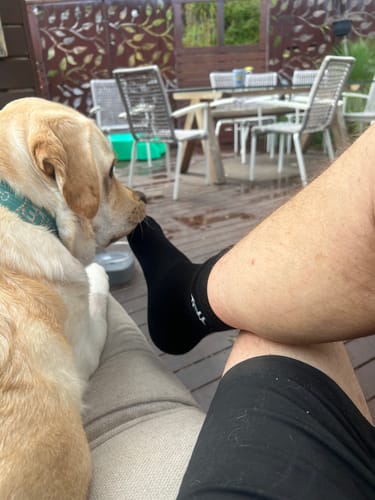 Customer's dog playfully nibbling on their black Crew Sock while relaxing on a patio.