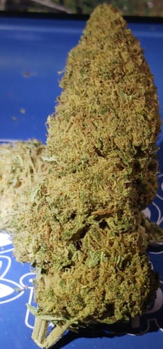 Customer photo review of Toad Venom THCA Flower
