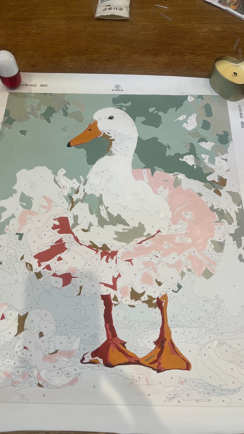 Customer photo review of The Goose Ballerina | Paint by Number