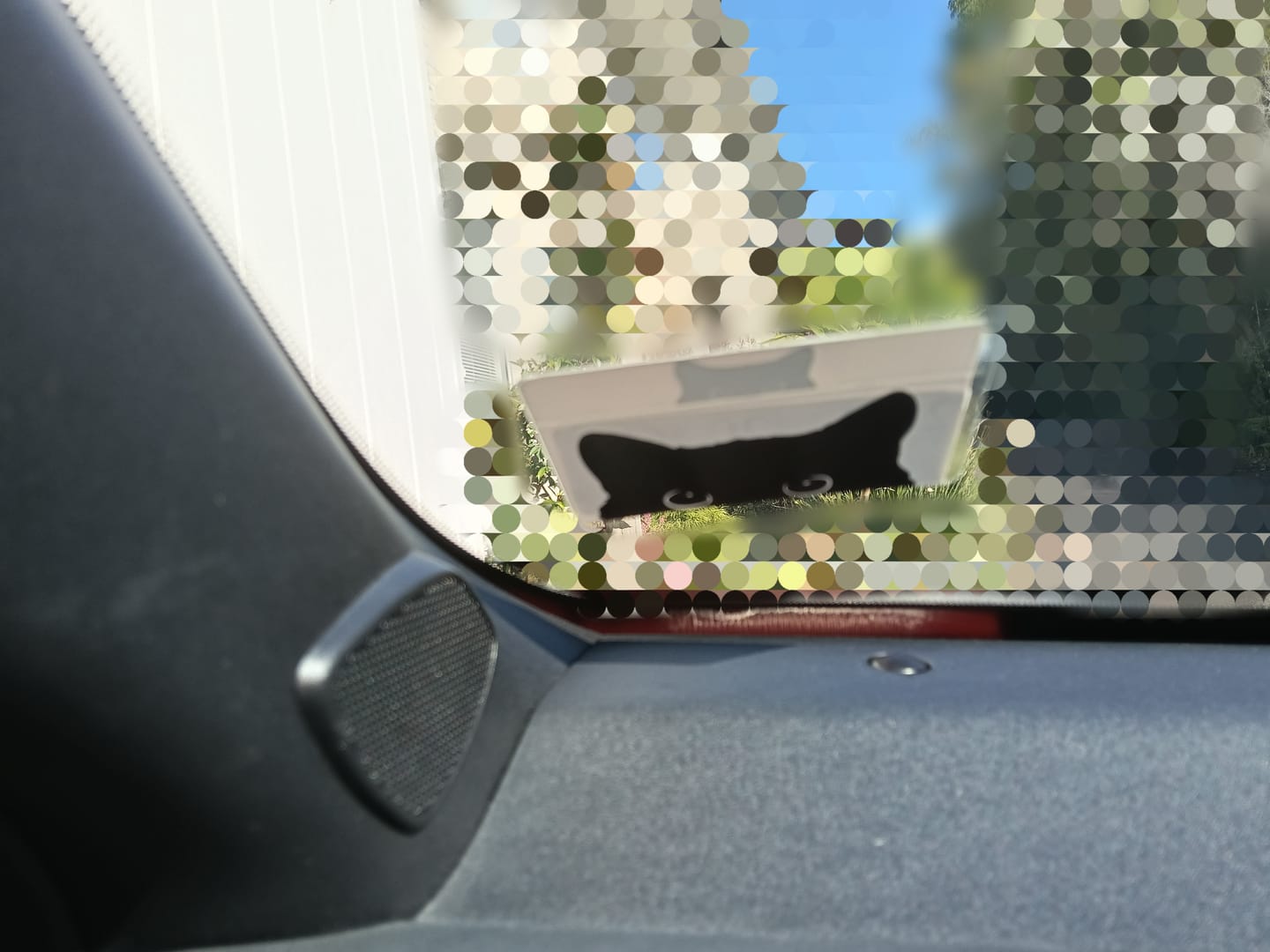 Customer photo review of Peek-a-cat