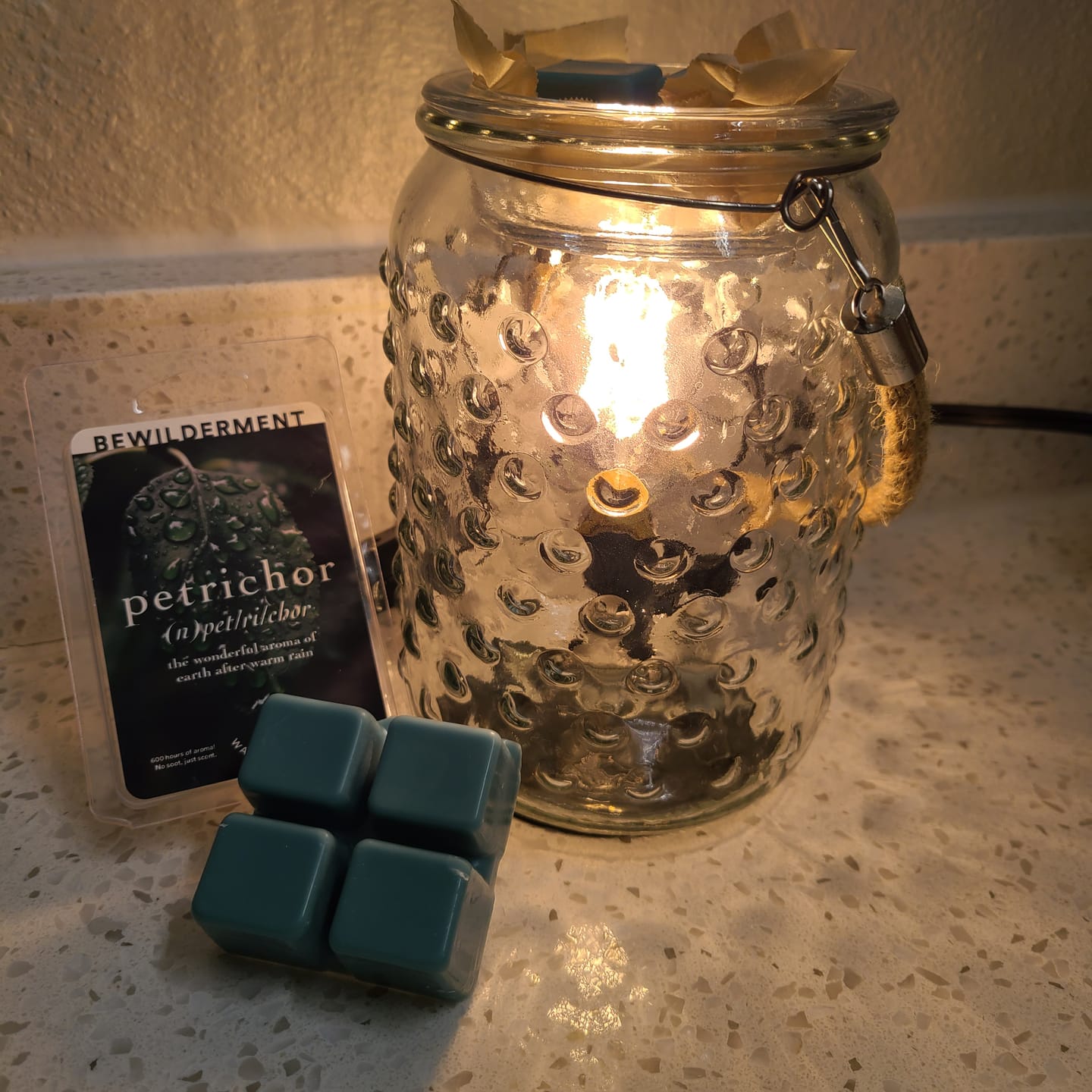 Customer photo review of Petrichor Wax Melts