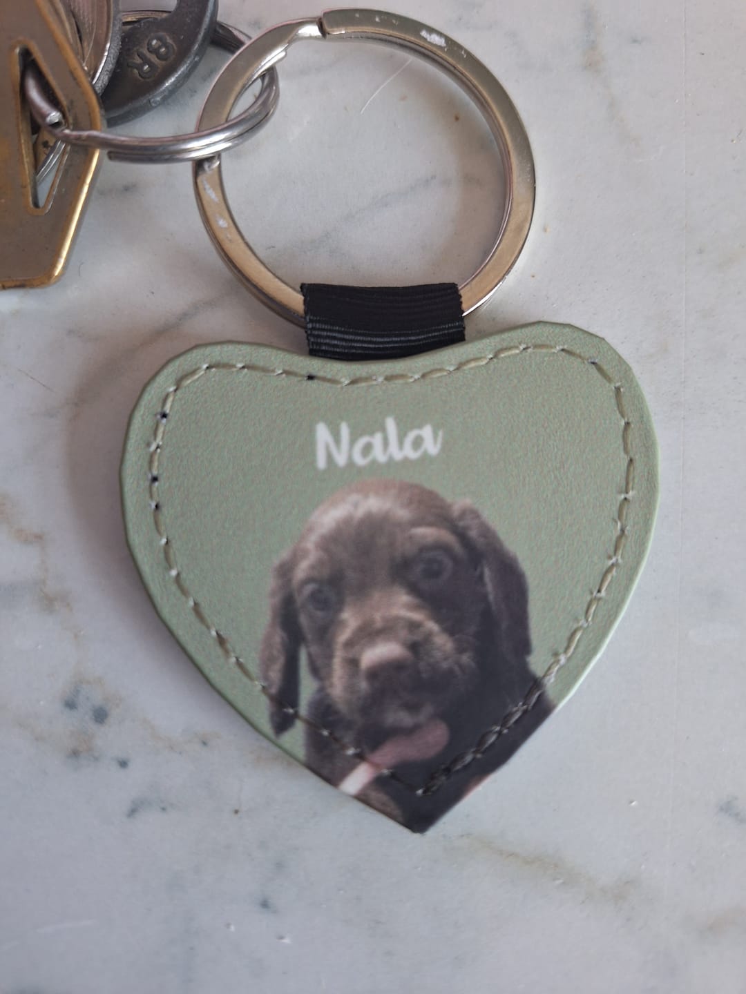 Customer photo review of Pet portrait - Personalised Keychain