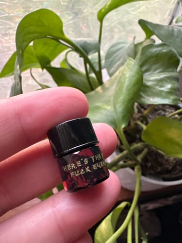 Reviewer's hand holding the small, dark sample vial of 'Here's the Thing, Fuck Everyone'.