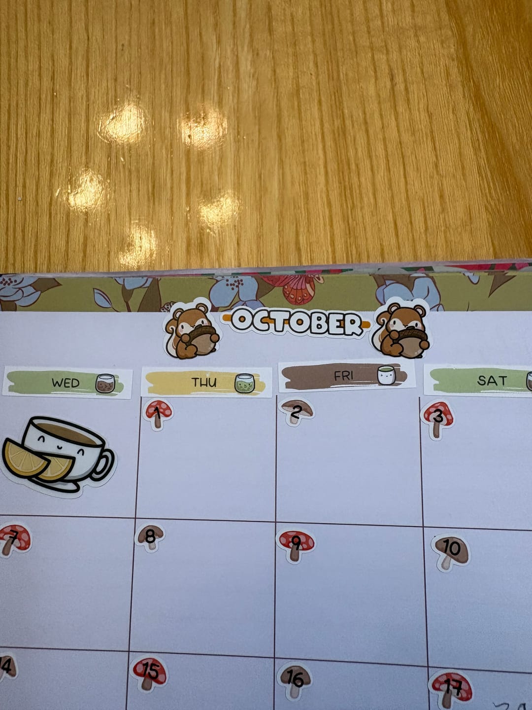 Customer photo review of Squirrelly Acorn - Months Planner Stickers