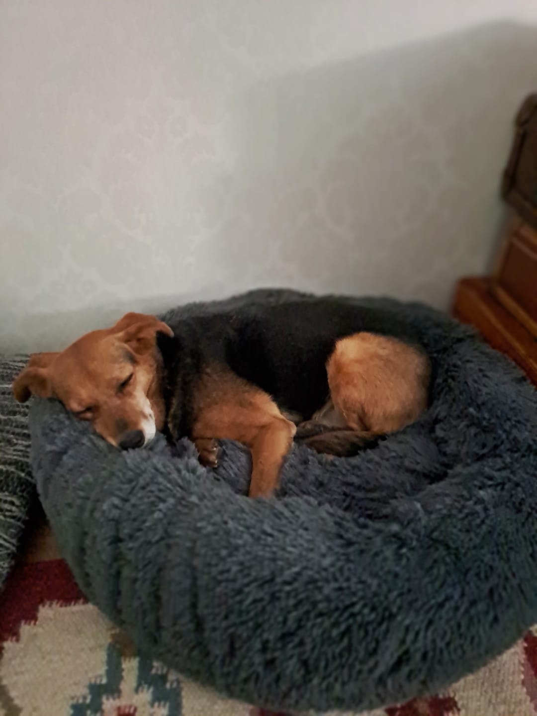 Customer photo review of CalmBed – Ehkäisee stressiä ja lievittää ahdistusta