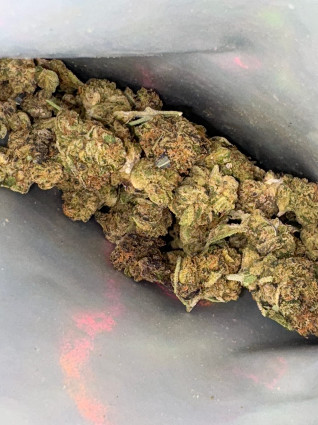 Customer photo review of Barneys Biscotti Minis - 14 Grams - Indica