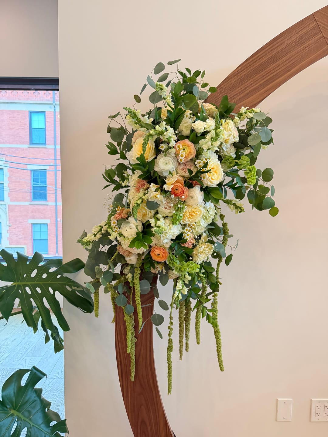 Customer photo review of Hanging Green Amaranthus