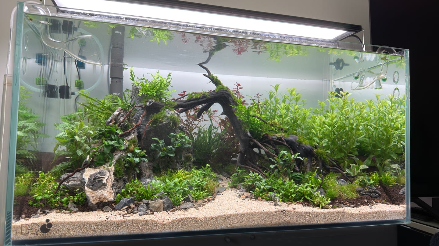 Customer photo review of Chihiros WRGB II Pro LED Light