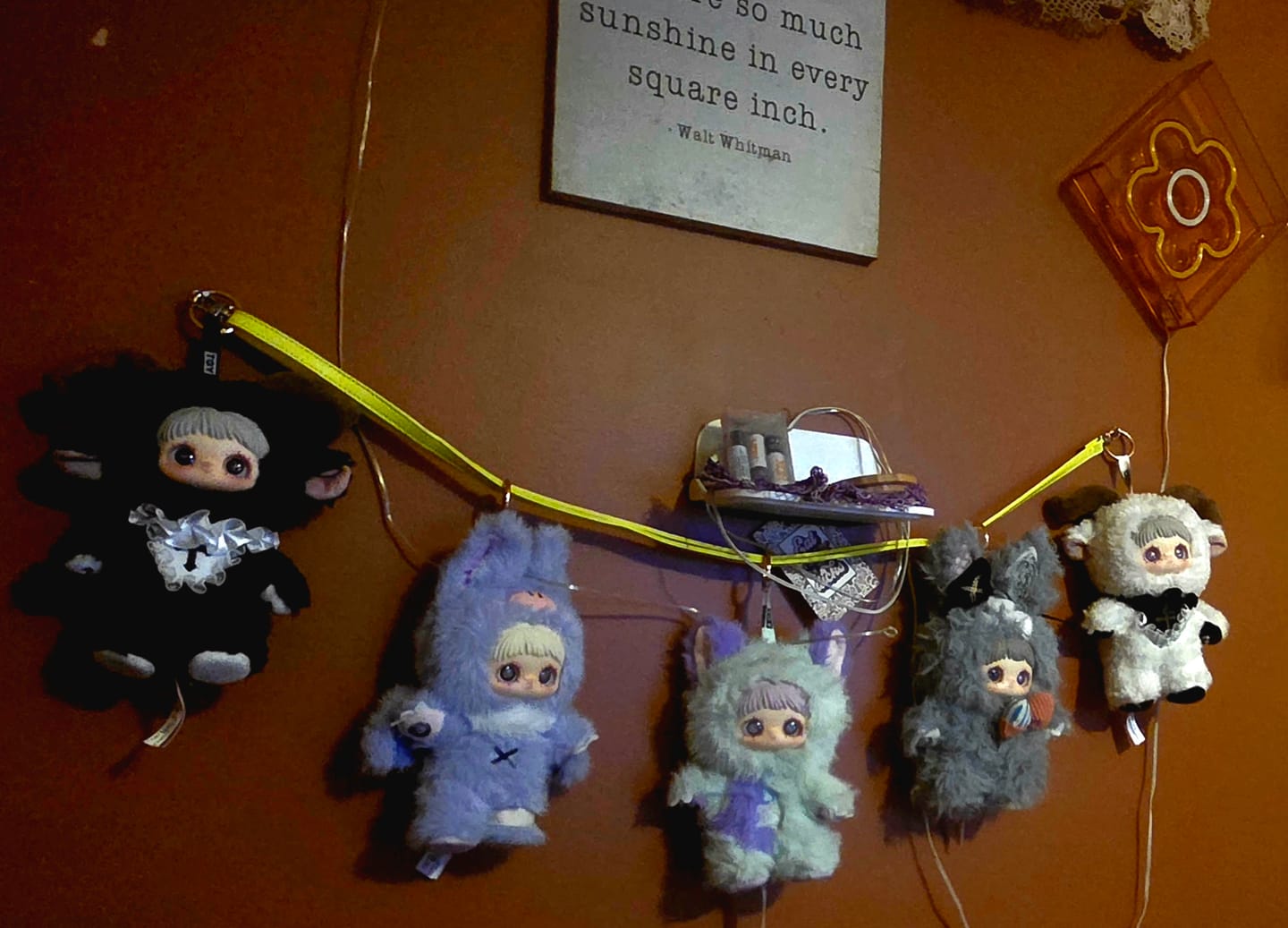 Customer photo review of MayMei Dark Forest Series Plush Blind Box