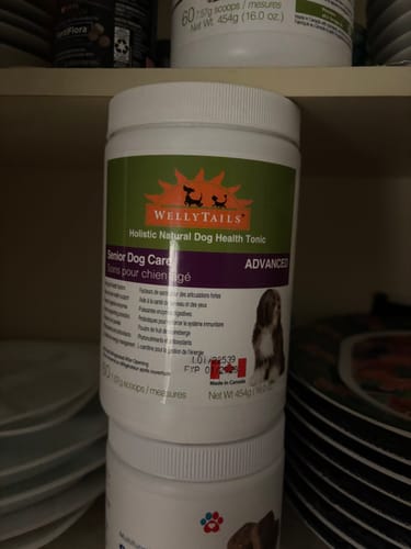 Customer photo review of WellyTails Senior Dog Care ADVANCED (updated Rx formula)