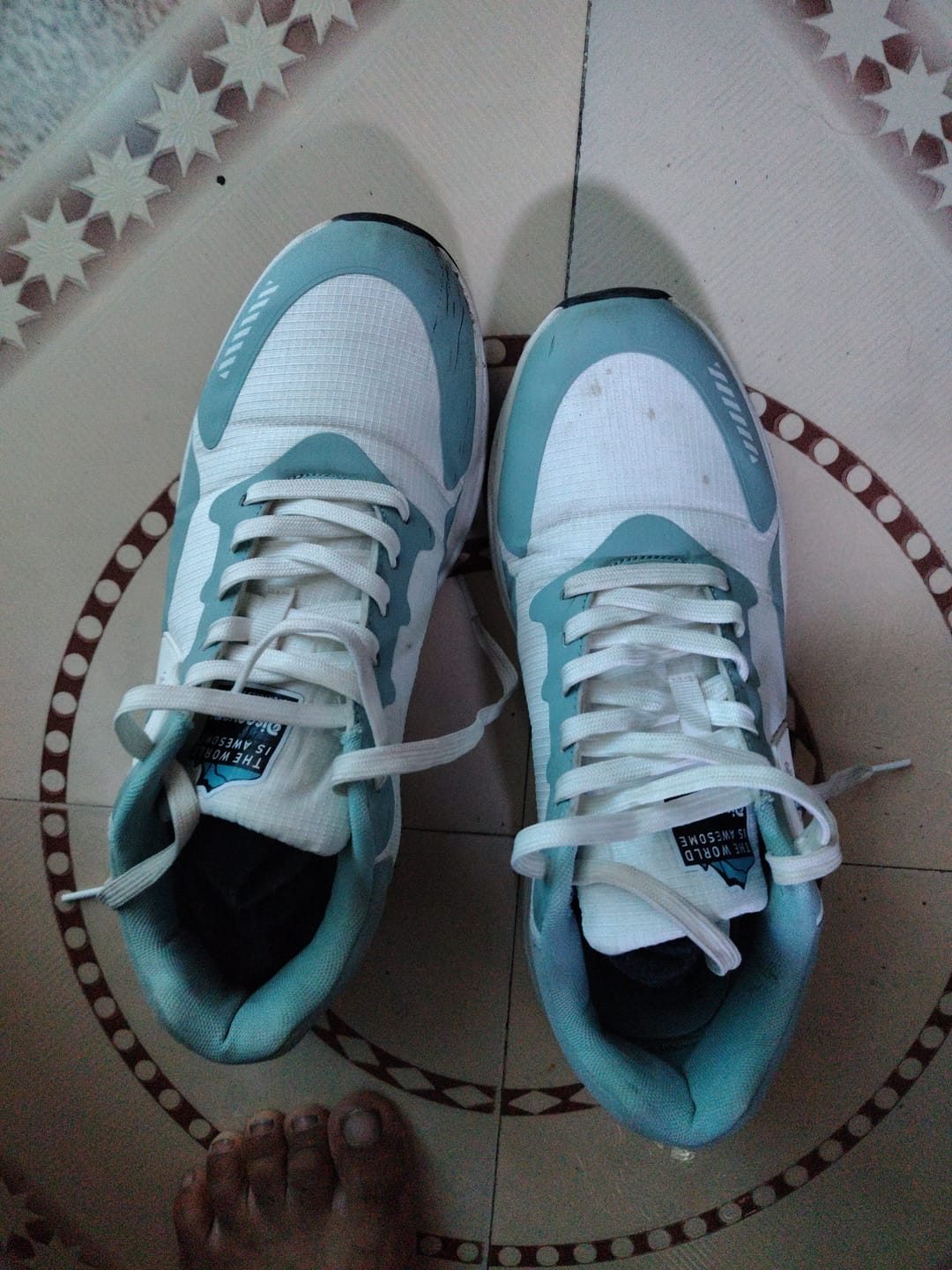 Customer photo review of Bacca Bucci × Discovery Globe Sneakers