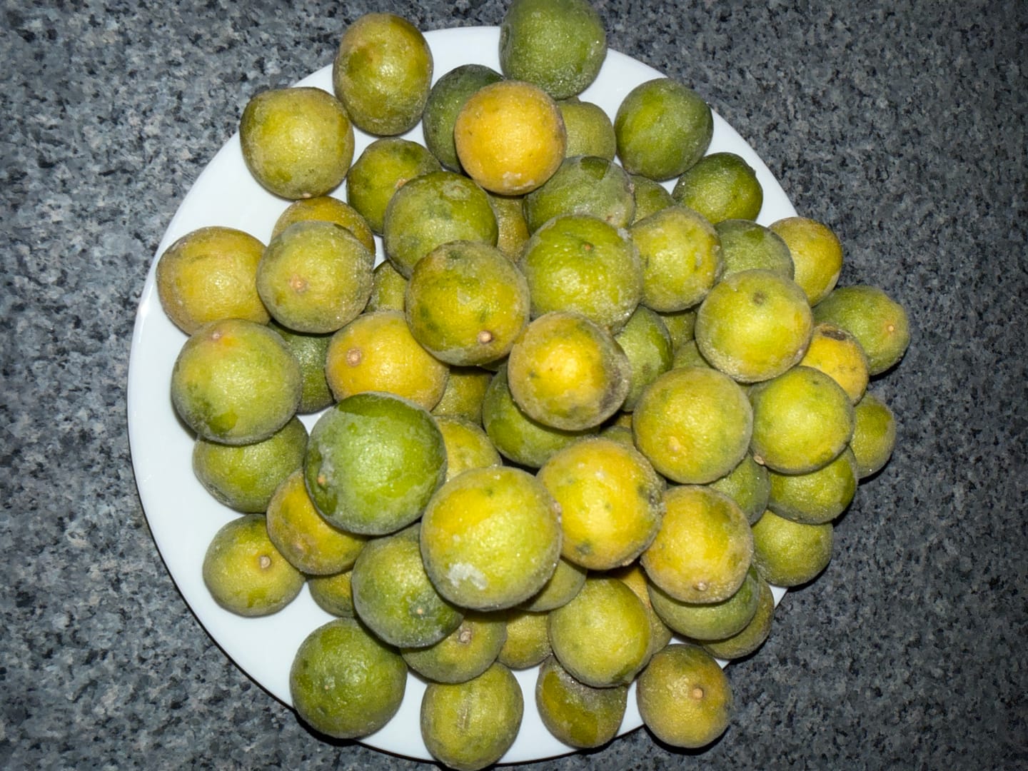 Customer photo review of Organic Key Limes 3 lbs