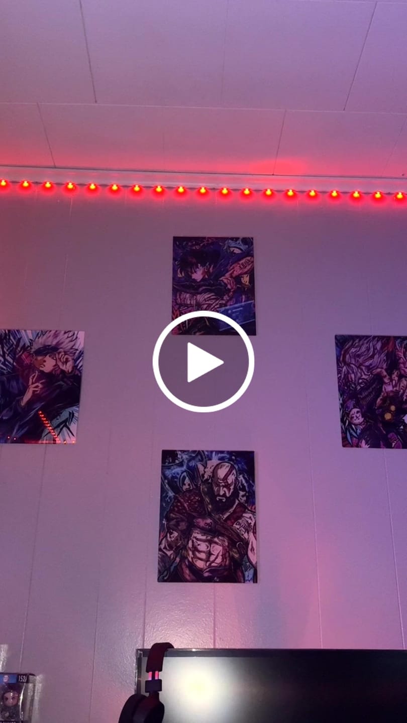 Customer video review of Sung Jin Woo Wall Art