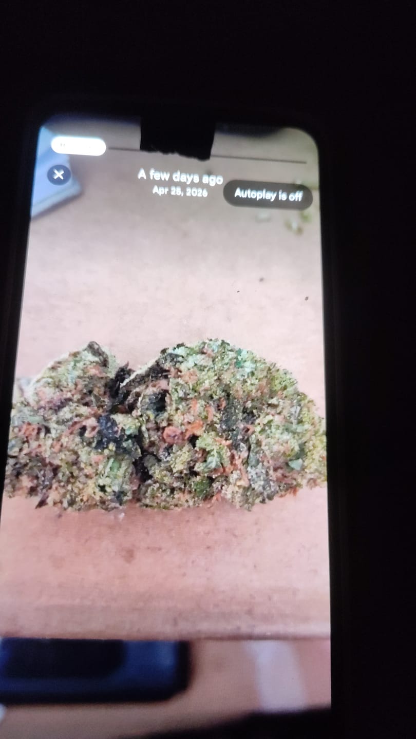Customer photo review of Tahoe OG - 4 Grams - Indica