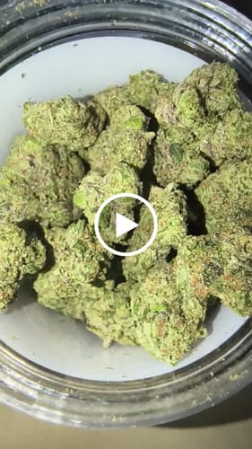 Customer video review of Boutique Exotics Obama Runtz - 28 Grams - Hybrid