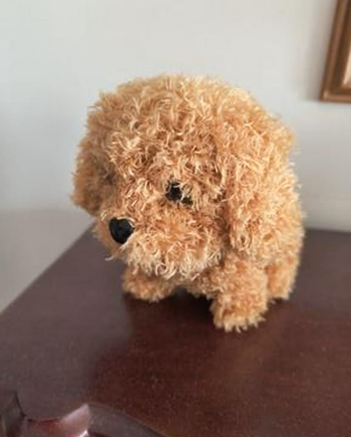 Customer photo review of Interaktiver Roboter Hund Kinder | Realistisches Spielzeug Haustier