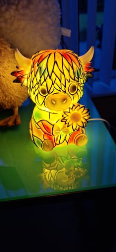 Customer's colorful Highland Cow LED night light, illuminated on a reflective table.