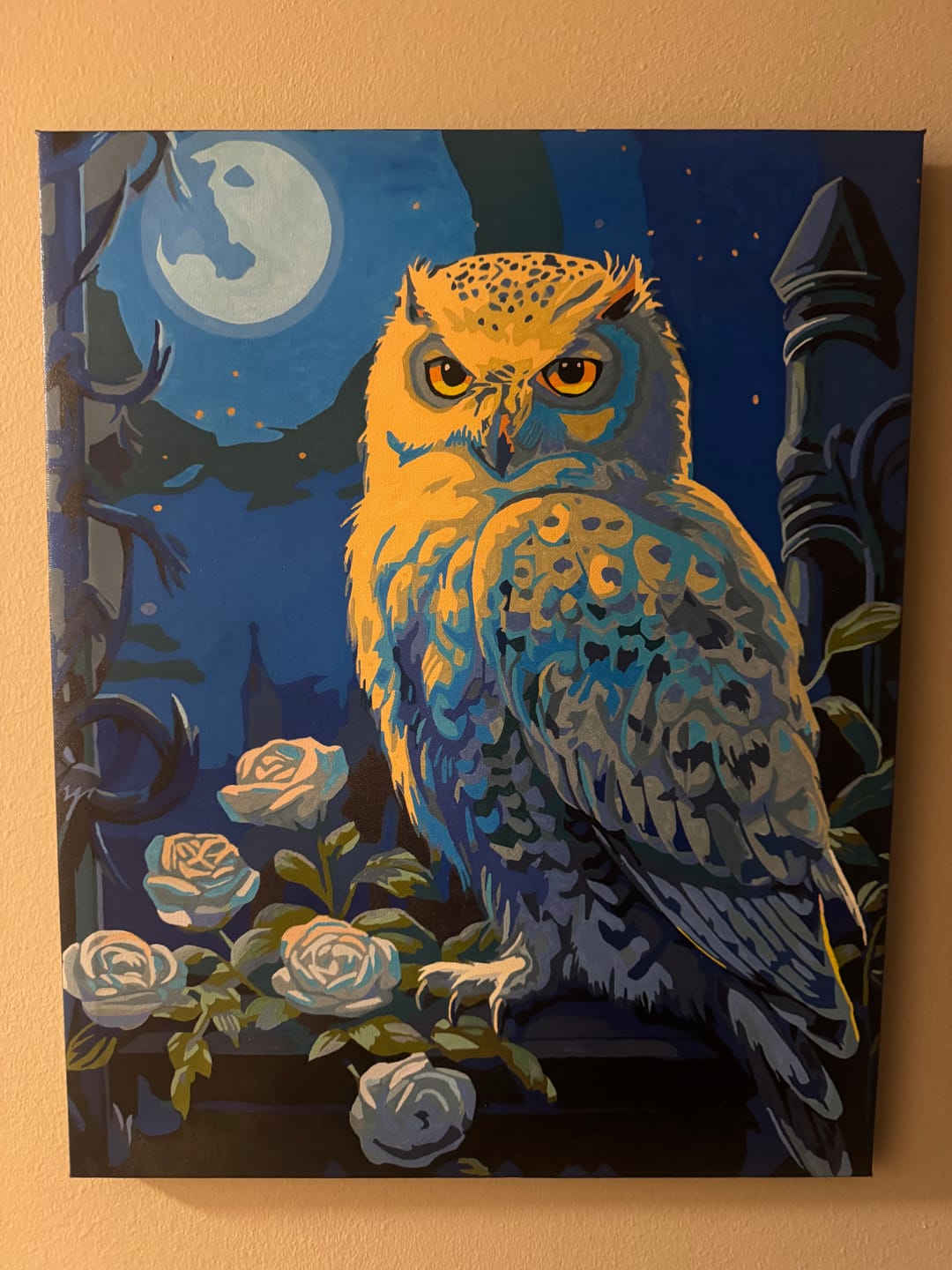 Customer photo review of Snowy Owl