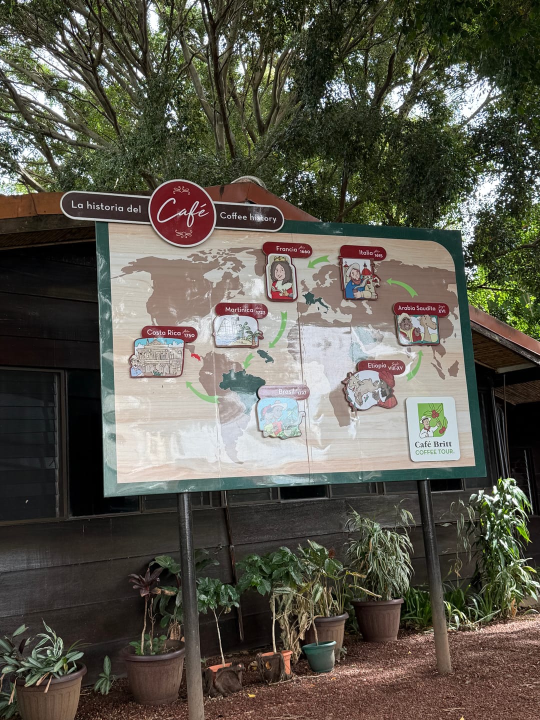 Customer photo review of COSTA RICAN HÁBITAT SLOTH COFFEE