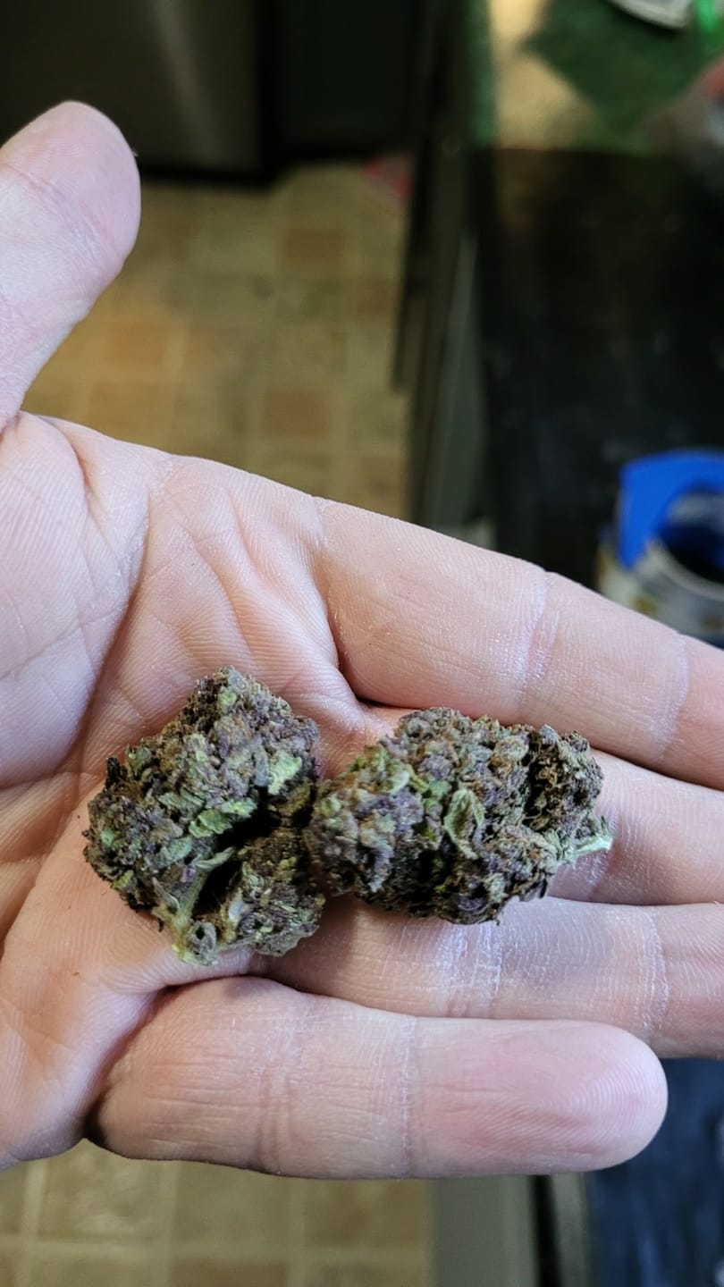 Customer photo review of Granddaddy Purple - 14 Grams - Indica