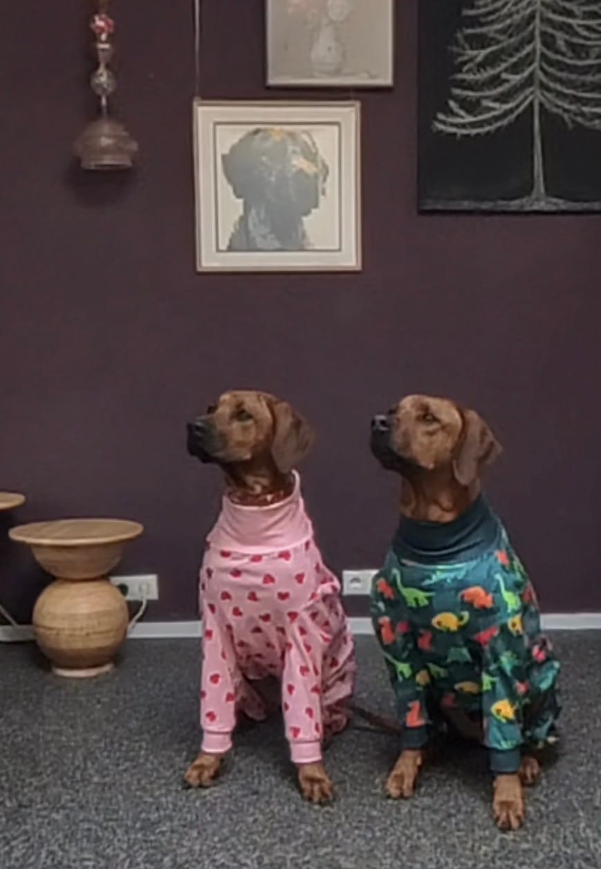 Customer photo review of Dog Pajama - Pink Hearts
