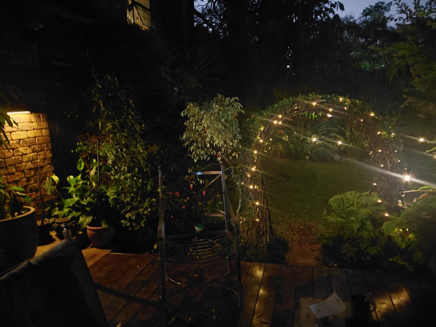 Customer photo review of Black String Solar Fairy Lights