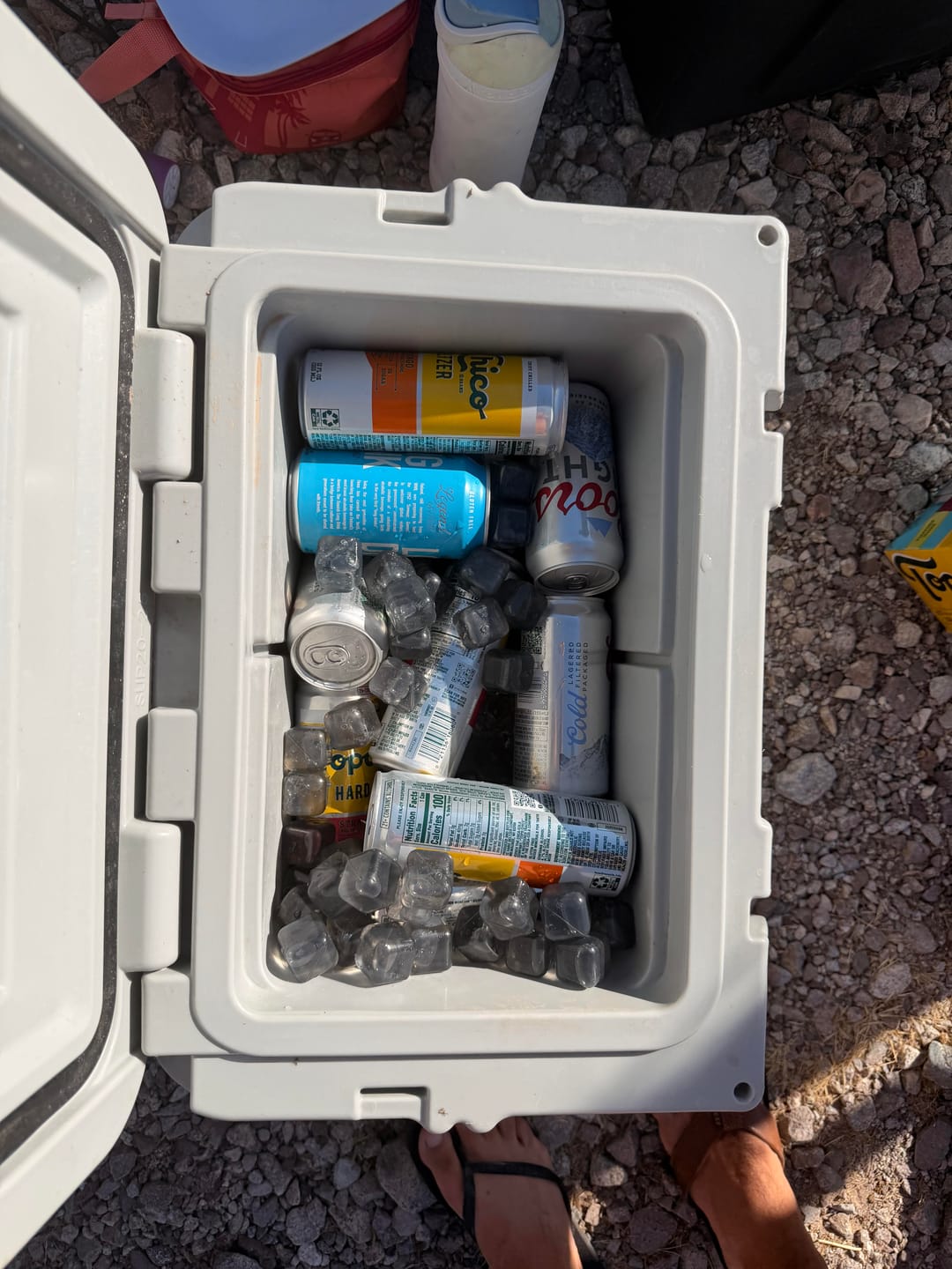 Customer photo review of The Duo - (2 pack) Reusable Ice Cubes and Bag