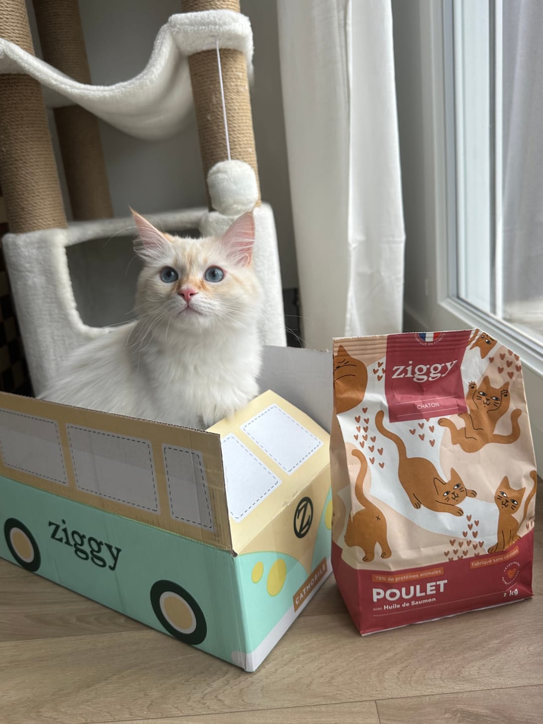 Customer photo review of Croquettes Chaton Sans Céréales - Poulet & Huile de Saumon