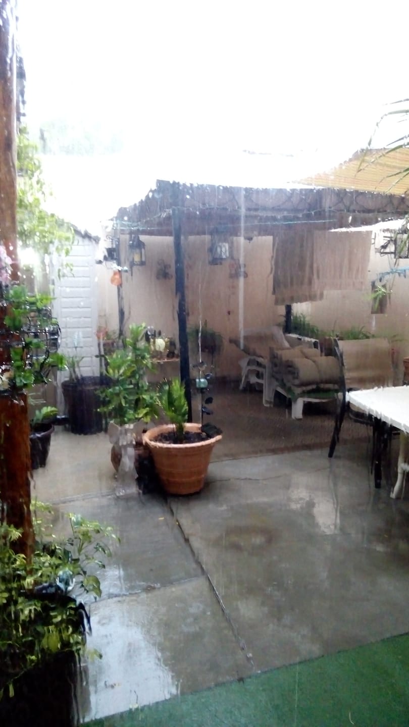 Customer photo review of Shade N' Shelters 9' x 11' Gazebo - Main Canopy + Roof Vent Canopy