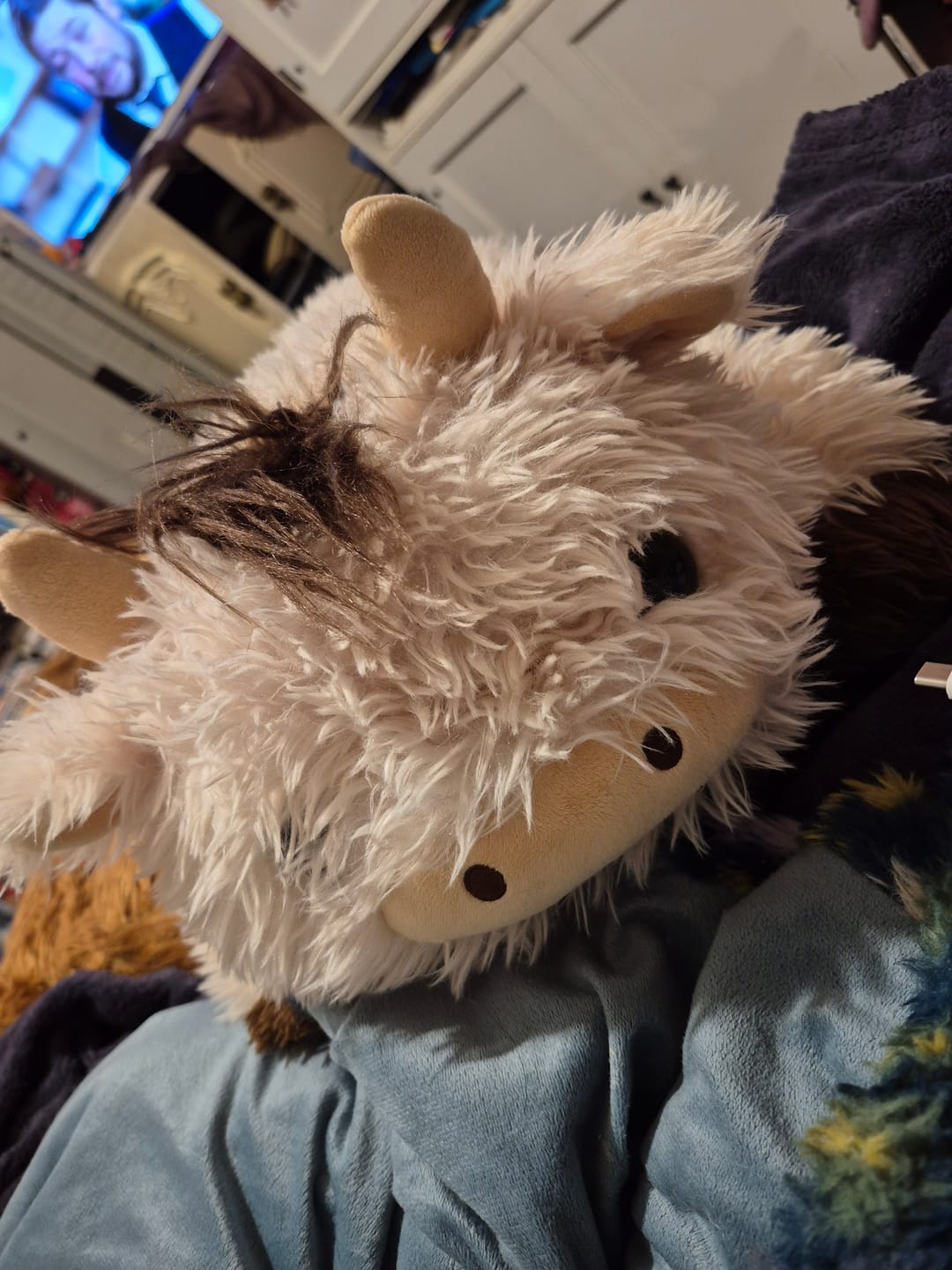 Customer photo review of MeWaii® Brown Cow Fuzzy Long Haired 5lb 23inch Heatable Weighted Stuffed Animals Stress Relief Gift
