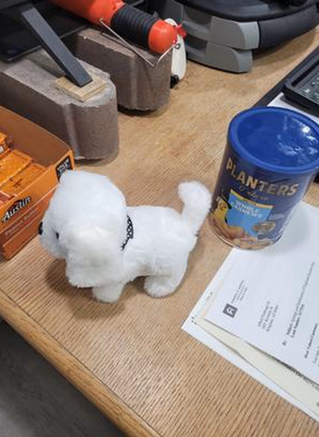 Customer photo review of Interaktiver Roboter Hund Kinder | Realistisches Spielzeug Haustier