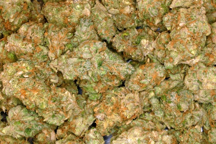 Customer photo review of Blue Dream - 28 Grams - Sativa