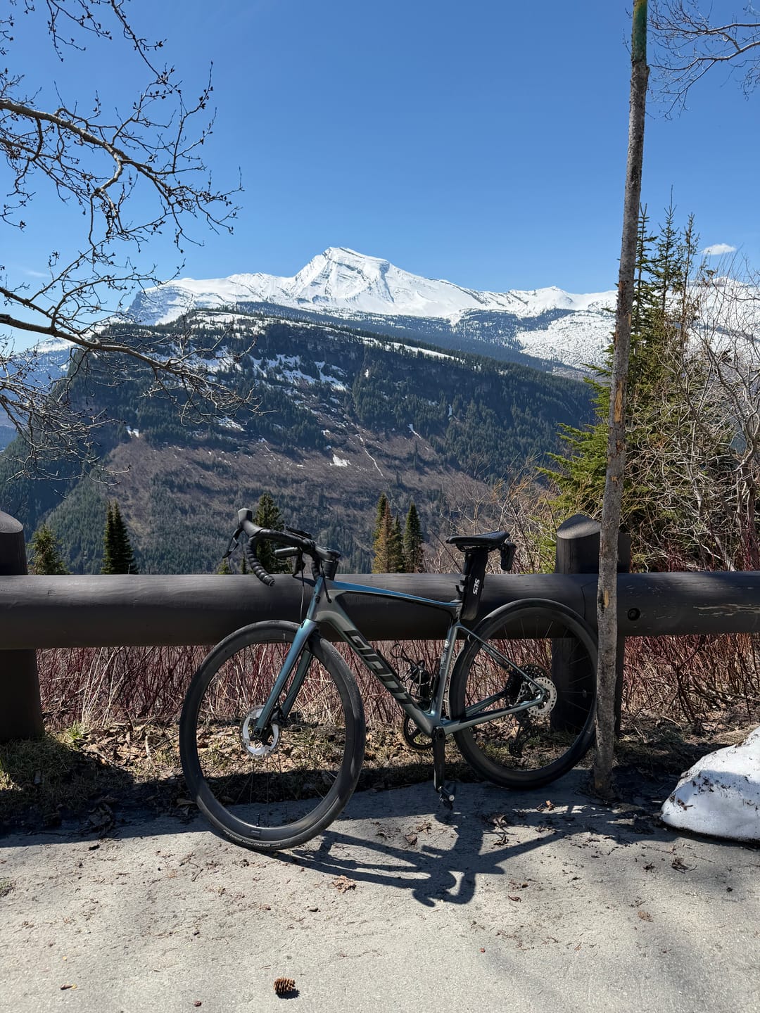 Customer photo review of 3D Saint Pro