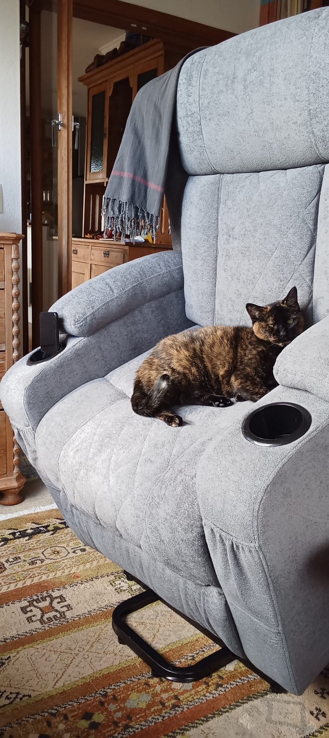Customer photo review of Electric Lifting 8-Point Vibration Heatable Massage Recliner Armchair - Dark Grey