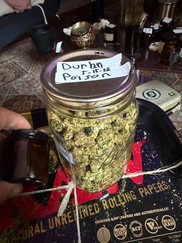 Customer photo review of Light Assist THCA Flower