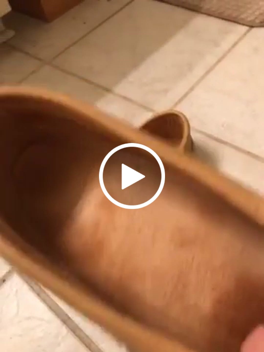 Customer video review of Men's Moose Hide Moccasins