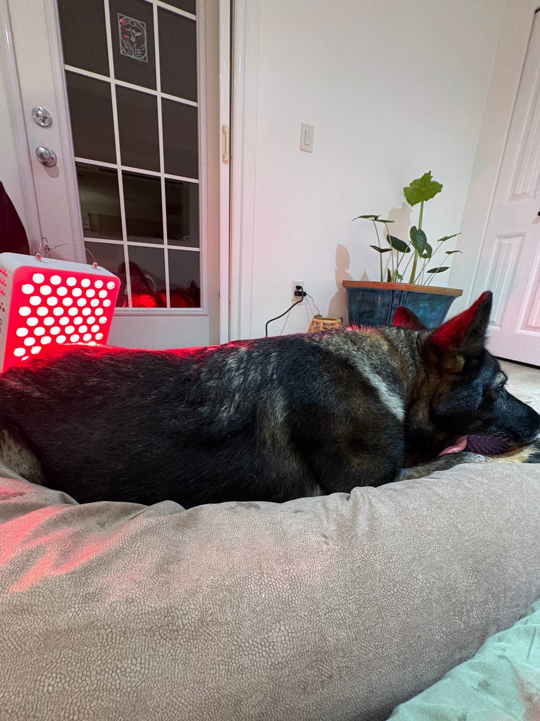 Customer photo review of Rouge Tabletop G4