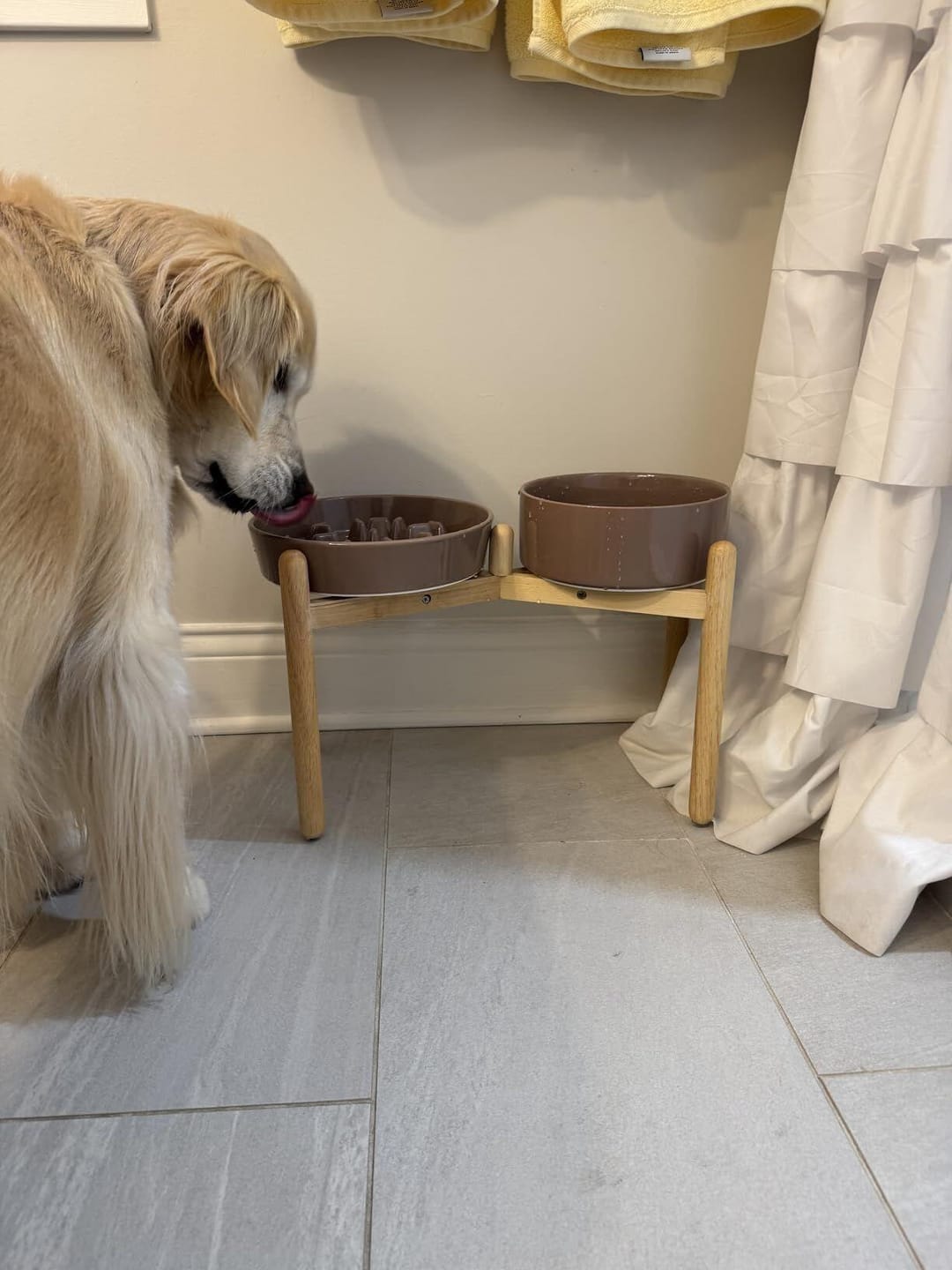 Customer photo review of Ceramic Slow Feeder Bowl