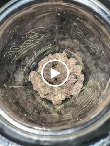 Customer video review of Granddaddy Purple Flower (Buy 1 Get 1)