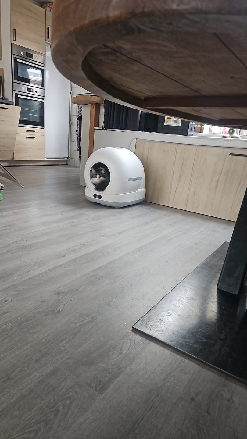 Customer photo review of Innova® LitterBox Pro - Automatische Kattenbak XXL 82L