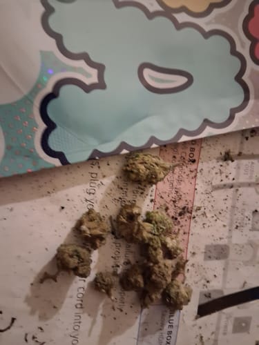 Customer photo from Brian M. — Lemon Cherry Gelato Runtz — 28g