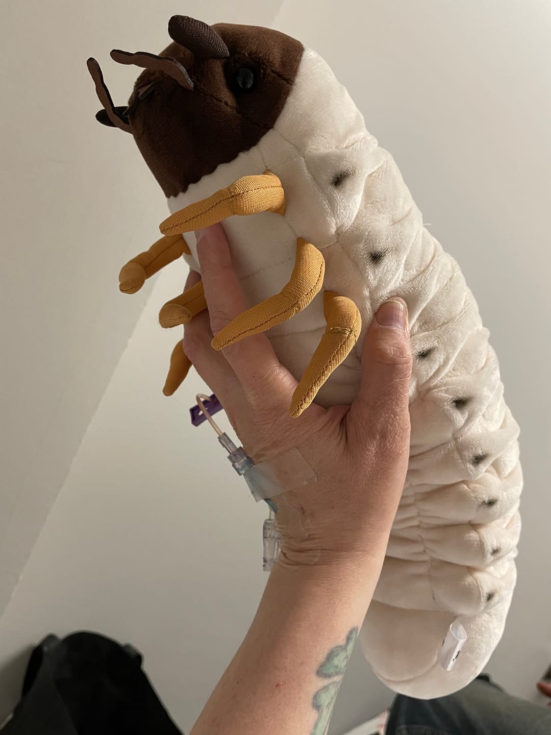 Customer photo review of White Grub Soft Stuffed Plush Toy