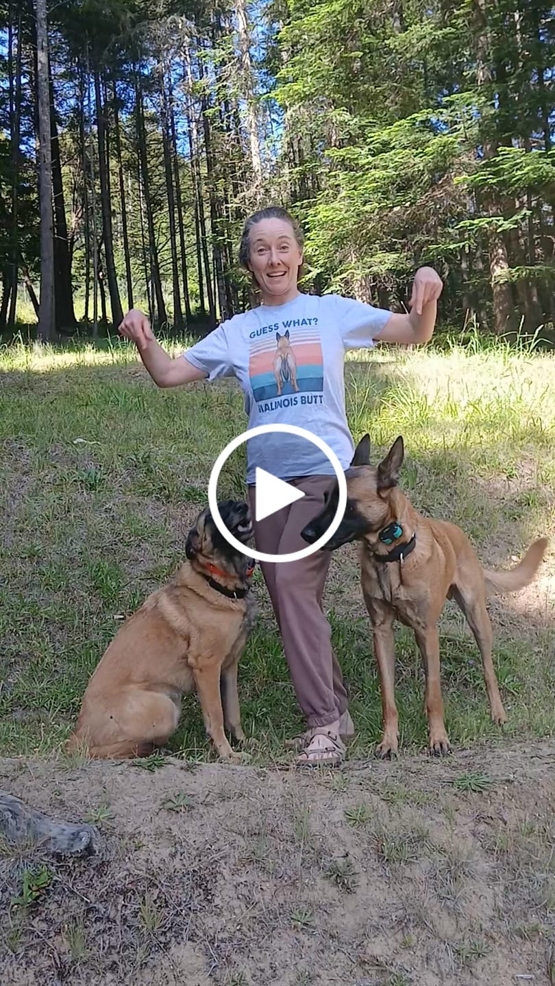 Customer video review of Malinois Butt