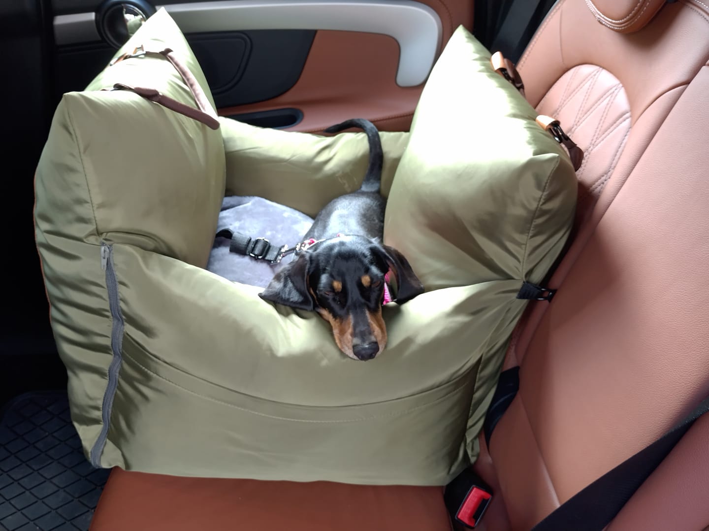 Customer photo review of Travel Dog Pod - Now With IsoFix