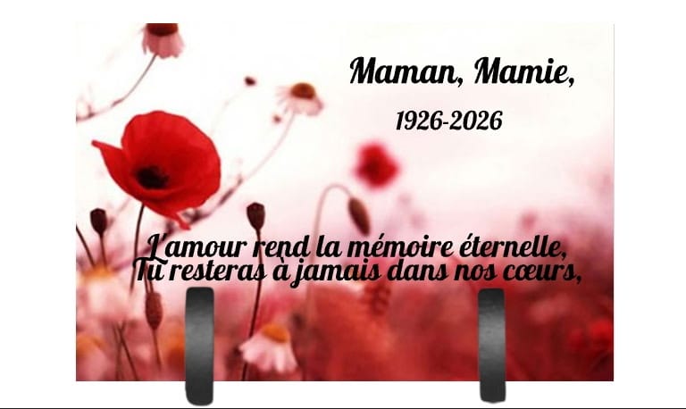Customer photo review of Plaque Funéraire Animaux Chat