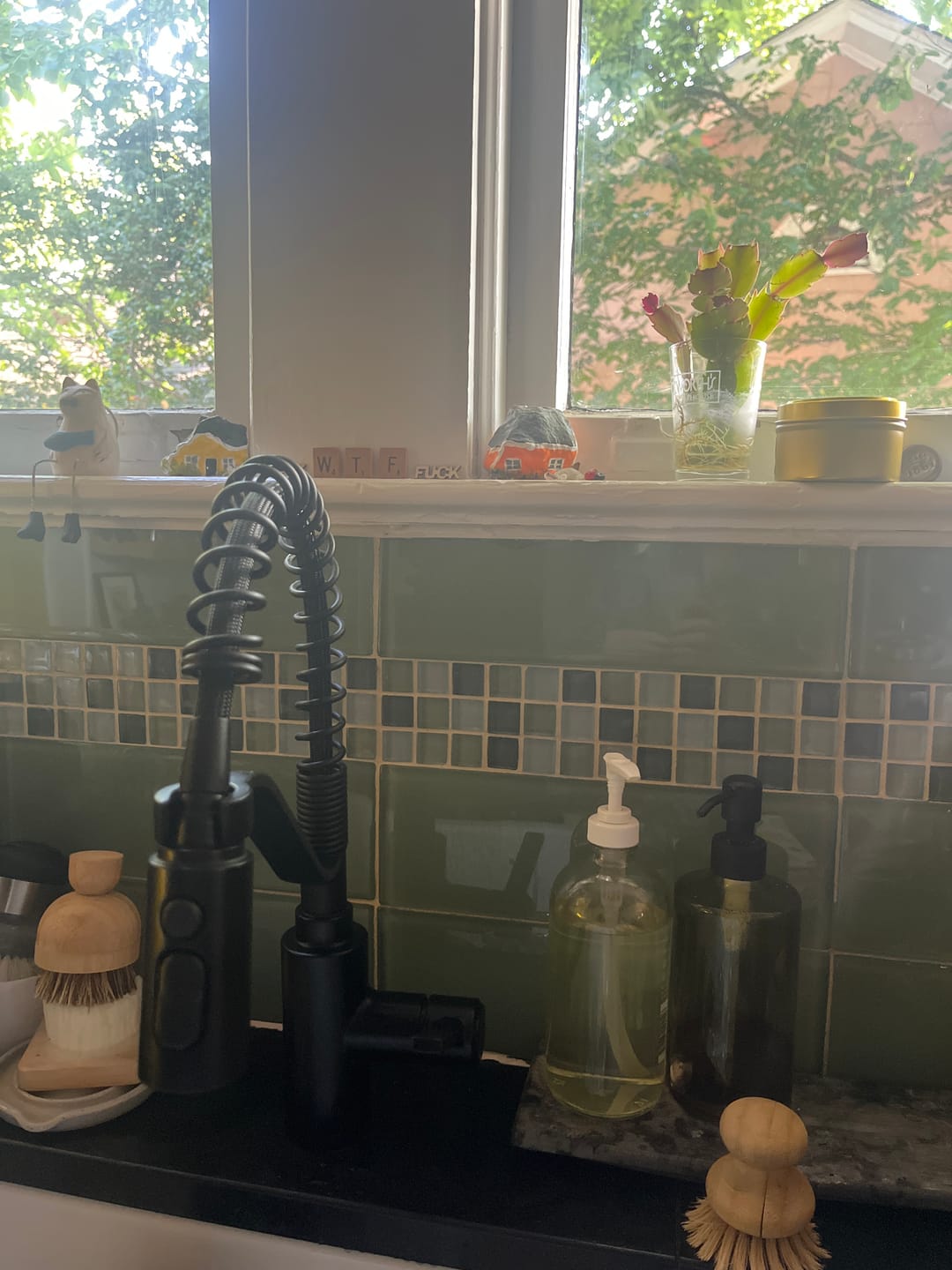 Customer photo review of Clean Plate Club - Dish Soap